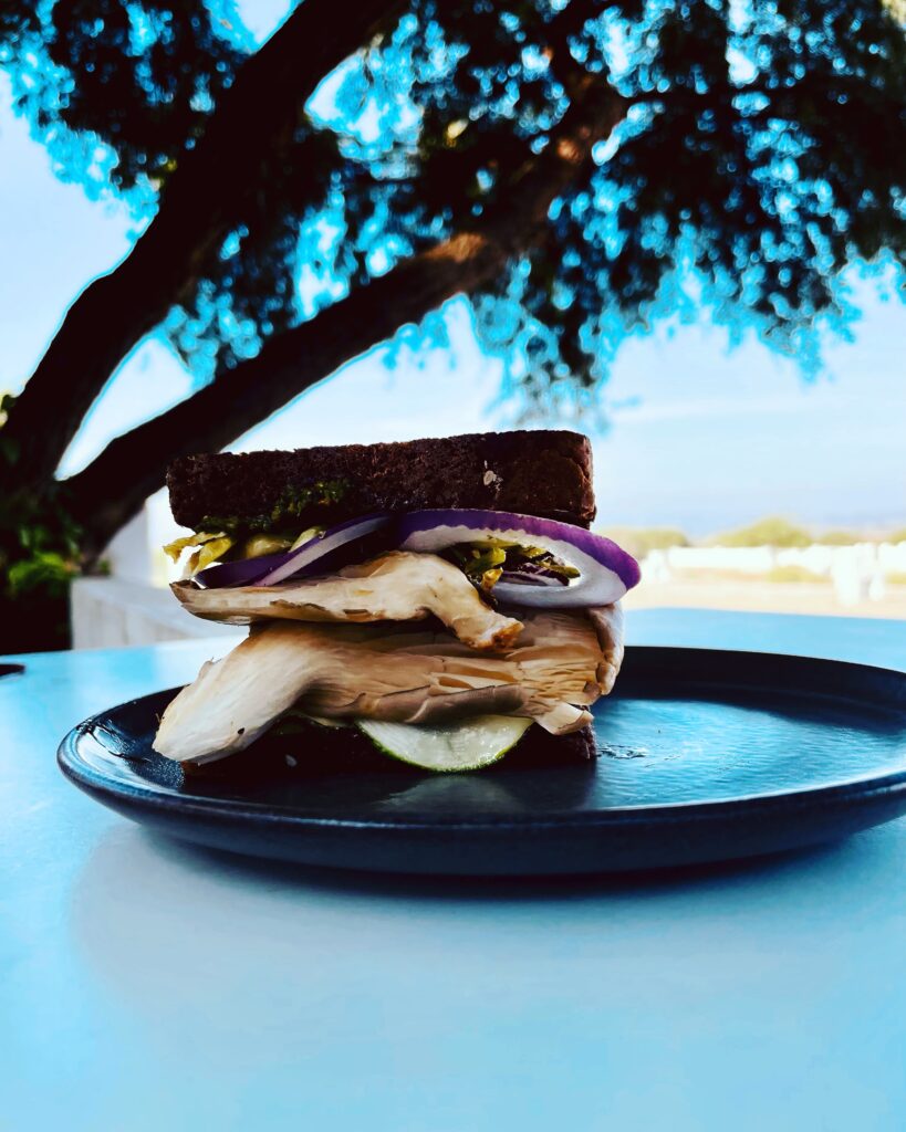 Sandwhich in front of a shadowy tree and a light blue sky. The sandwhich is on brown bread with rings of red onions, oyster mushrooms, calabaza squash blossoms, and arugula pesto.