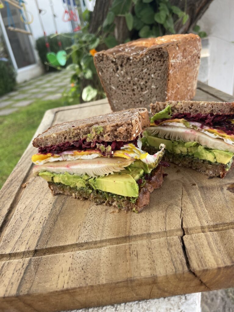 Instant GF Seed Bread is used to make a sandwich with avocado, oyster mushrooms, and beet. Egg optional. A swing is hung in the treey hehind the sandwich in the backyard and there is a white door in the background.