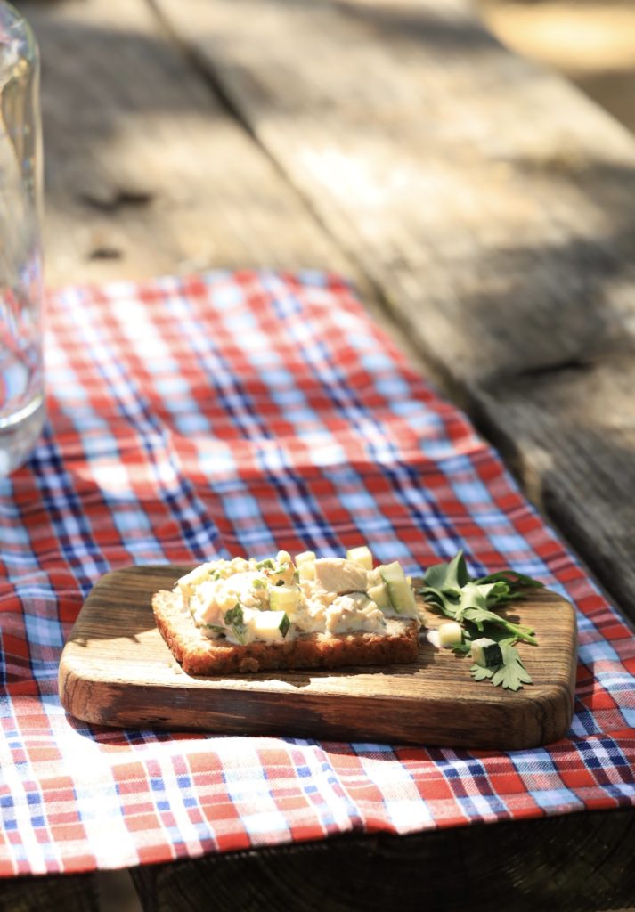 Honey Bread with Tuna Cucumber Salad on a Picnic table with a red checked table cloth