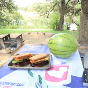 Honey Bread with Smoked Tofu and Roasted Beets next to a watermelon overlooking a view of a park with a grill, oak tree and river.